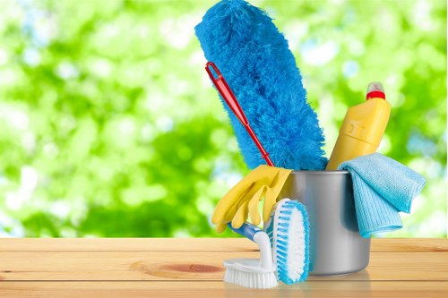 Customer complaint being logged for a cleaner service review
