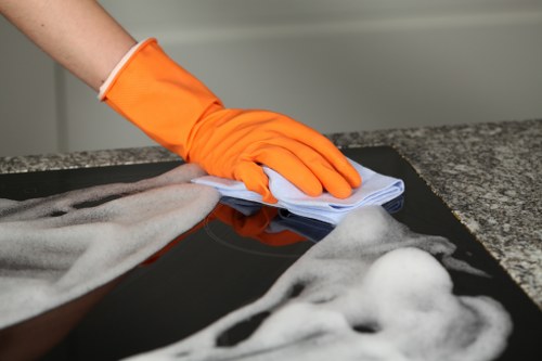 Professional rug cleaning service for a Stjohnswood home rug