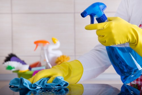 Regular cleaning for a Stjohnswood home with tidy living spaces