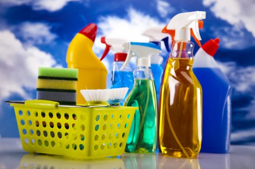 Carpet and upholstery cleaning setup for pet stain removal