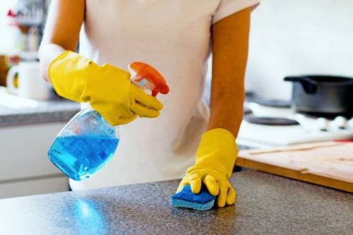 End of tenancy cleaning checklist and preparation for a Stjohnswood home