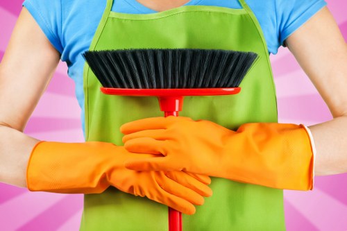 Payment and invoice details for cleaning services