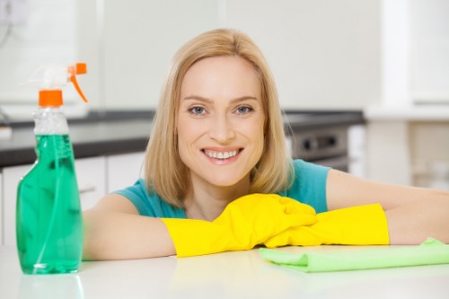 Window cleaning service for flats and mixed properties in Stjohnswood