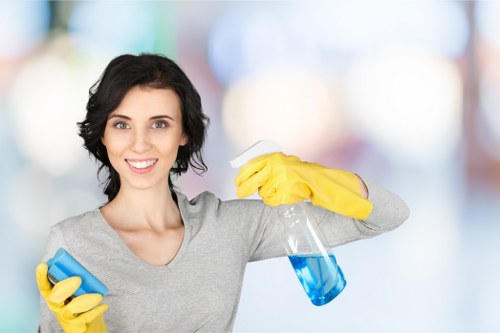 Local pet odour treatment in a Stjohnswood apartment interior