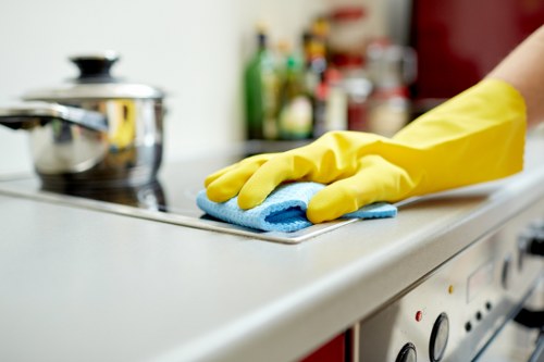 Deep cleaning equipment used for pet stain removal in a local flat