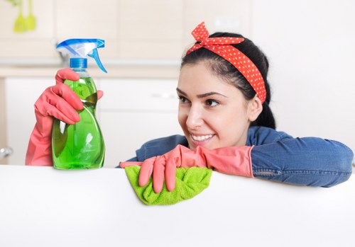 Professional domestic cleaning in a Stjohnswood apartment