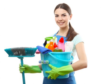 Local upholstery cleaning service working in a Stjohnswood apartment building