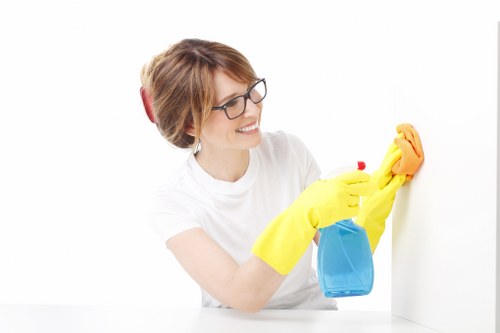 Fabric sofa cleaning equipment used for a residential upholstery clean