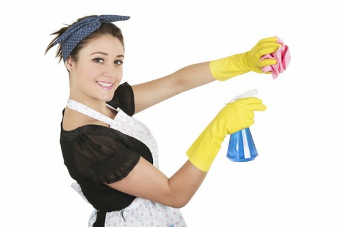 Local cleaning support for flats and mansion blocks in Stjohnswood